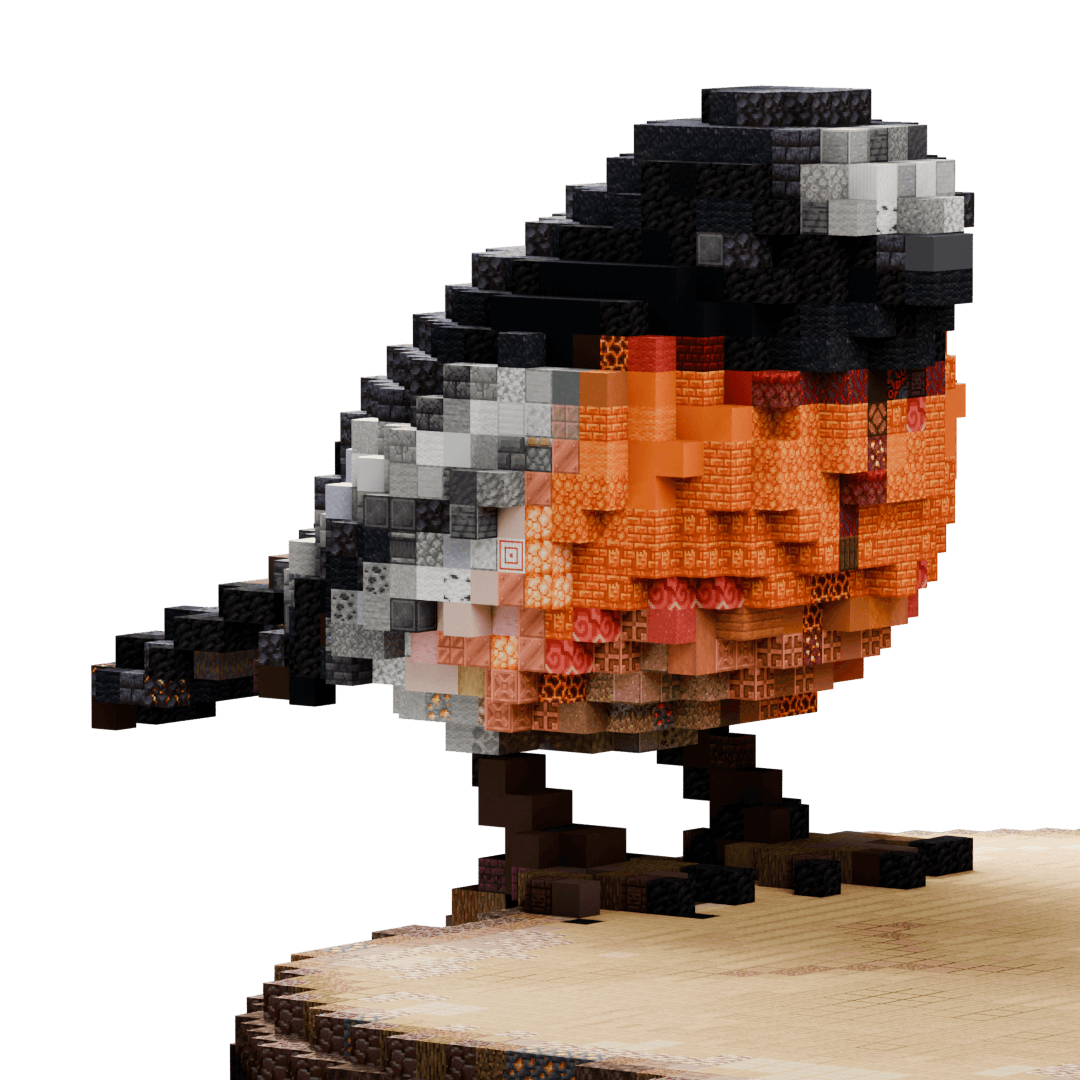 bird