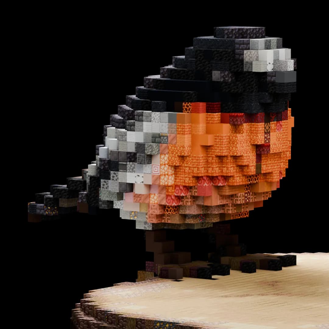bird