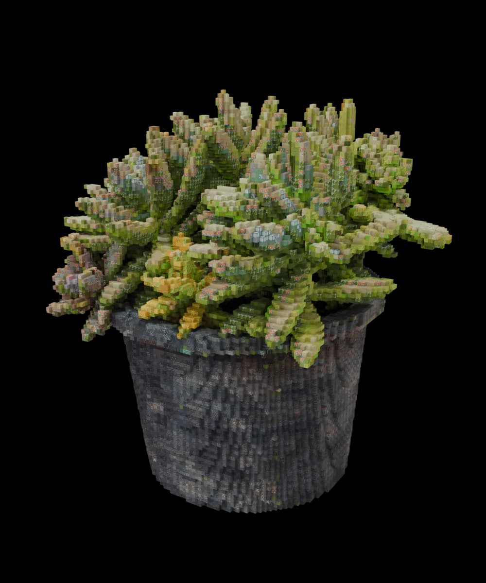 Succulent rebuilt from Minecraft blocks