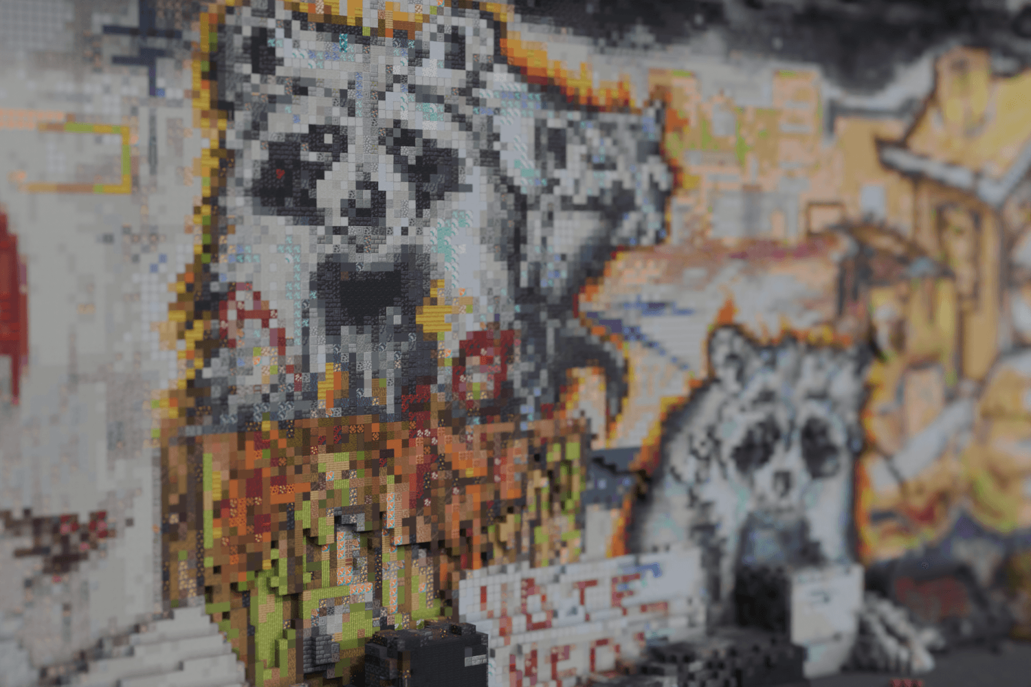 racoons